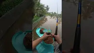Câu Đài : Trải nghiệm câu cá hồ câu Bắc Hà