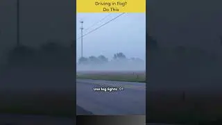 Driving in Fog? Do This