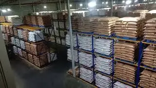 video 20241229 224331