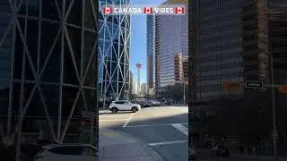 🇨🇦#Canada Calgary 10 Interesting Facts #calgary #shorts #subscribe#trending #canada#alberta#ytshorts