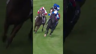 Смотрите, как Романс Чэмпа Ребела выигрывает свою ДЕВЯТУЮ Группу 1!