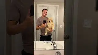 Puppy transforms into a three-year-old in 20 seconds!
