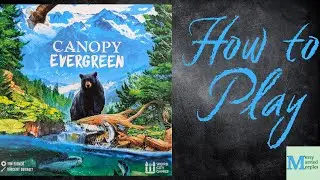 Canopy Evergreen - How to Play