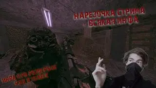 Нарезочка стрима + некоторая инфа)
