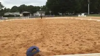 2022 University of Tennessee at Martin Summer Equestrian Camp (Flat video)- Lucia Bellafiore