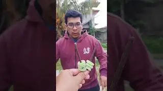 bagi bagi coklat stik permen yupi #shorts