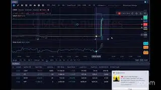 MOMENTUM/PENNY STOCKS-ZEN ZONE ZOOM LIVE TRADING