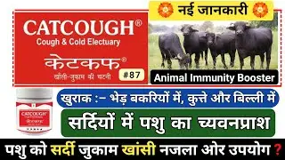 Catcough / कैटकफ चटनी के पशुओं में फायदे | DeepaK PharmacisT VeT 