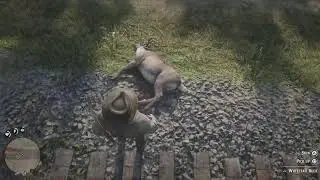 POV: You use Dead Eye while hunting | RDR2
