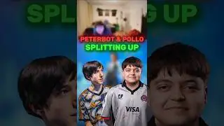 Питербот и Полло расстаются | #fortnite #peterbot #pollo #fncs