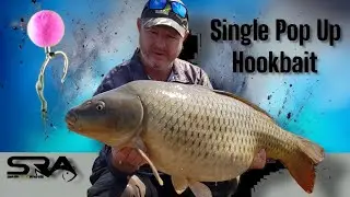 Single Pop Up Hook bait presented by Shaun Rusch. Part 2/4