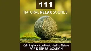 Water Dripping Sound