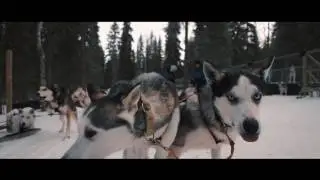 Valkea Arctic Experience