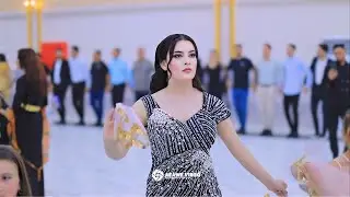 الفنان زيدان شنكالي - زفاف- اثير & كوردستان - P ( 6  ) - تصوير العزاوي فيديو - 07831490516