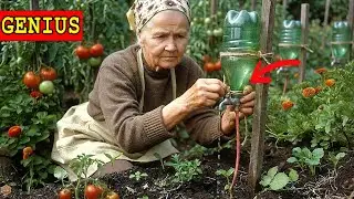 25 No-Tool Gardening Hacks to Grow More and Work Less