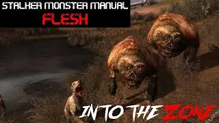 STALKER Lore Monster Manual - Flesh