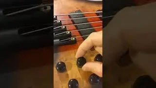 IYV 5 string multi scale bass first impressions, and what to expect 