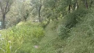 #kashmir #nature #travel #beautifulkashmir #explorekashmir #mountains #subscribes #like