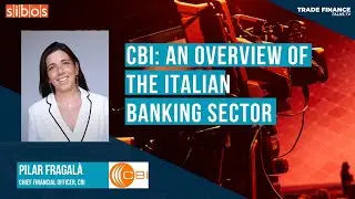 CBI: an overview of the Italian banking sector