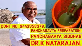 Panchagavya: How to Prepare Panchagavya | Panchagavaya Siddhar Dr.K.Natarajan- Kodumudi.