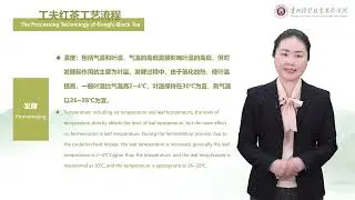 2 14 Processing Technology of Gongfu Black Tea
