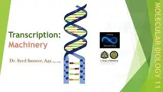 Transcription: Machinery - Molecular Biology 11