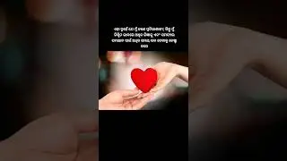 love story status video/#shorts #romantic shayari #lovestory #anuchinta #whatsapp_status #lovesong 🫂