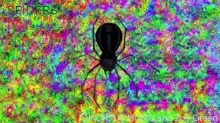 SPIDERS (music video)- JACKTUS MUSIC X Zo&euml; Green