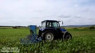 Kukorica sorközművelés / Cultivating Corn | *HD* | NH T5050