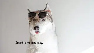 TIJN Eyewear - We're designing unique glasses for your special family members now!