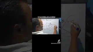 Ciclo estral de la cerda.