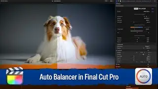 Эффект автоматического баланса для Final Cut Pro