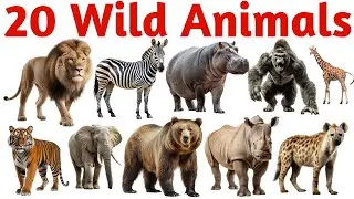 जंगली जानवर | Learn 20 Wild Animals Names in English with Pictures and Sounds for Kids