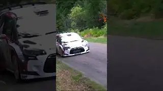 Loud engine sound of a Citroen C3 WRC car #cars #wrc #citroen