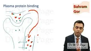 6. Plasma protein binding of drugs and various effects during disease state