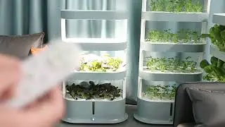 4 Layers Hydroponic System for Efficient Indoor Growth