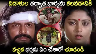 విడాకుల తర్వాత భార్యను కలవడానికి వచ్చిన భర్తనుMohan Babu AndJayasudha Heart Touching Emotional Scene