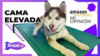 Cama para perro elevada Amazon Basics Review&nbsp;+ Unboxing