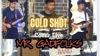 COLD SHOT | STEVIE RAY VAUGHAN | COVER LIVE MR GADFolks