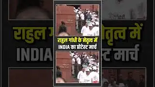 Rahul Gandhi | Vote Chori | INDIA Protest March | Election Commission