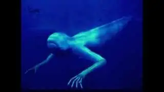 Z&Iacute;CLOPE - The Plankton Corpse (A tale of the forgotten sea monster)