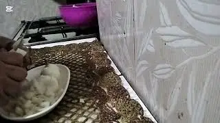 طريقه عمل البلطي بطريقه مقرمشه زي طريقه المحلات ارز بالبصل مع سلطه خضراء خطيره 👌👍😋