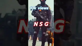 NSG lover ❤️