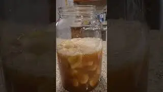 Relax and Batch Some Banana Alcohol With Me #cider #mead  #recipe #asmr