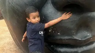Live video, Dhan Sali garden