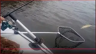Hol szczupaka z pontonu.