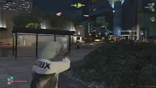 Fivem Highlights - Metroville Priv #9
