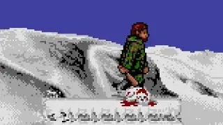 Adult games - MicroProse's Rainbow Warrior seal-clubbing soiree for the Commodore Amiga