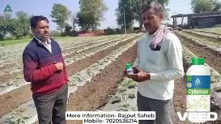Water melon special liquid cytomax #farming #agriculture #watermelon #viral #food #nature 