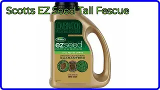 REVIEW (2025): Scotts EZ Seed Tall Fescue. ESSENTIAL details.